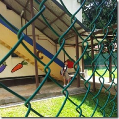 annschool annschool