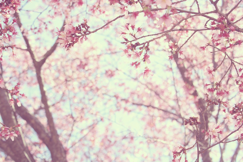 [Dreamy%2520Light%2520Action%255B5%255D.jpg]