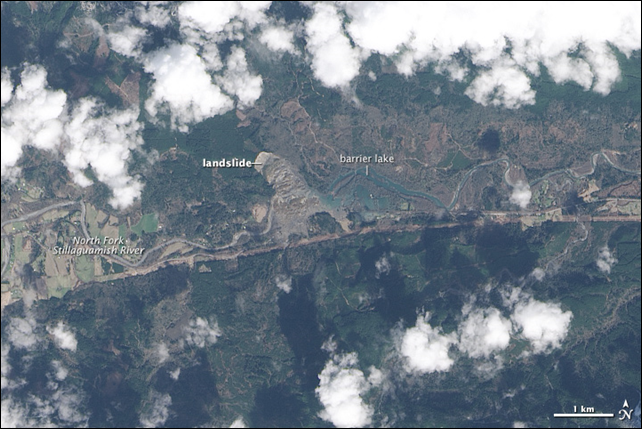 On 22 March 2014, a rainfall-triggered landslide near Oso, Washington, sent muddy debris spilling across the North Fork of the Stillaguamish River. The debris swamped numerous homes, resulting in the deaths of at least 24 people. The Landsat 8 satellite acquired this image of landslide debris and the barrier lake on 23 March 2014. Photo: Jesse Allen / U.S. Geological Survey