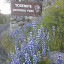 CIMG0099.jpg CIMG0099.jpg