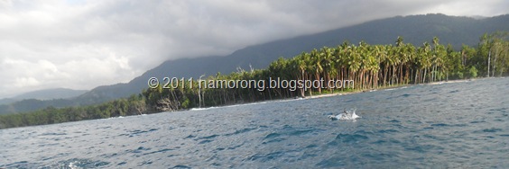 SAM_0281