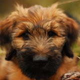 Abi - DSC_0069.jpg