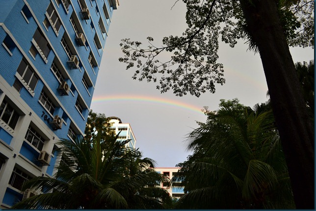 DSC_0481