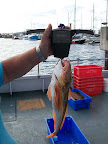 Image123.jpg