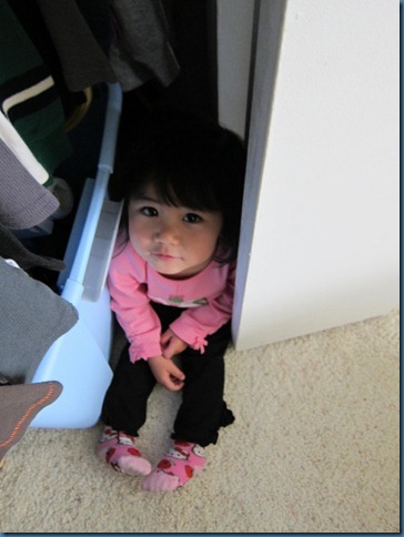 wk105_hide_and_seek