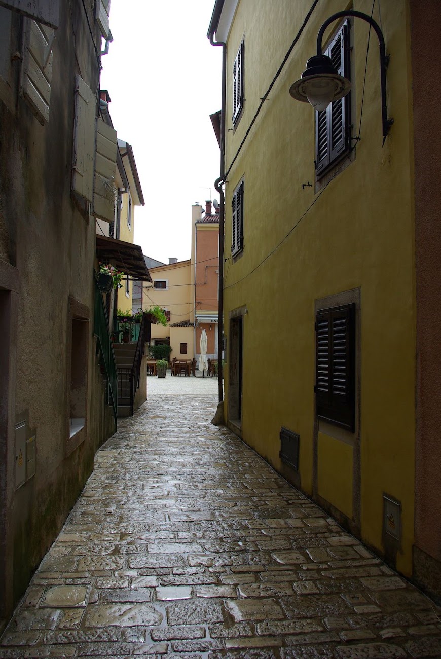 IMGP4427.JPG