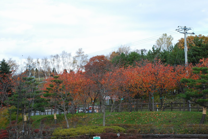 hokkaido_034.jpg