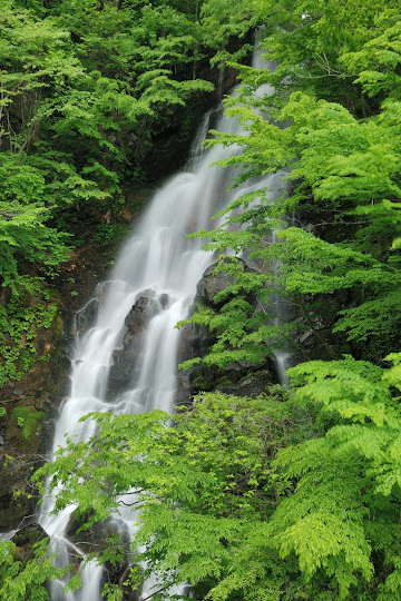 ニコイ大滝