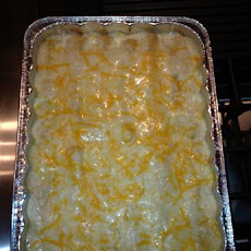 Spicy Sour Cream Chicken Enchiladas