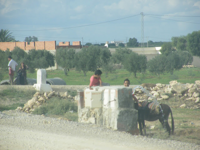 Tunesien2009-0480.JPG
