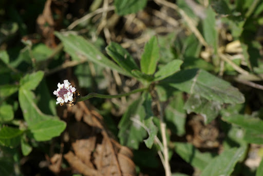 20120630_19