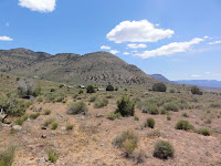 2011_05_CORE_Bar10_035.jpg Photo