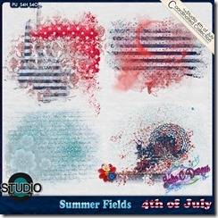 4th of July Coordinating Product