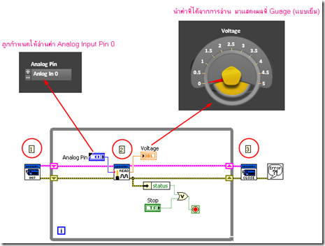 Analog Read Pin setting and display