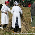 graanoogst-09-051.jpg