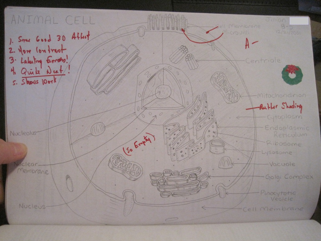 [IMG_6503_a%255B4%255D.jpg]
