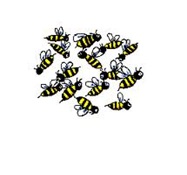 bees