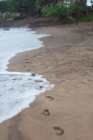 DSC_0975.jpg