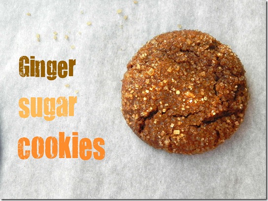 ginger-sugar-cookies-1 ginger-sugar-cookies-1