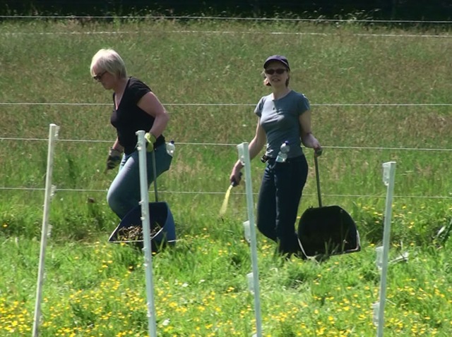 [kacke%255B4%255D.jpg]