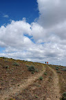 DSC_0944.jpg