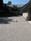 Where is everybody?