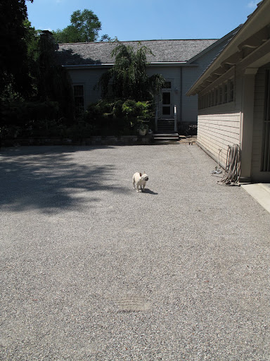 Where is everybody?