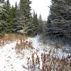 DSCN2924.jpg