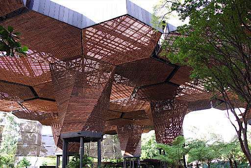 In the botanical gardens