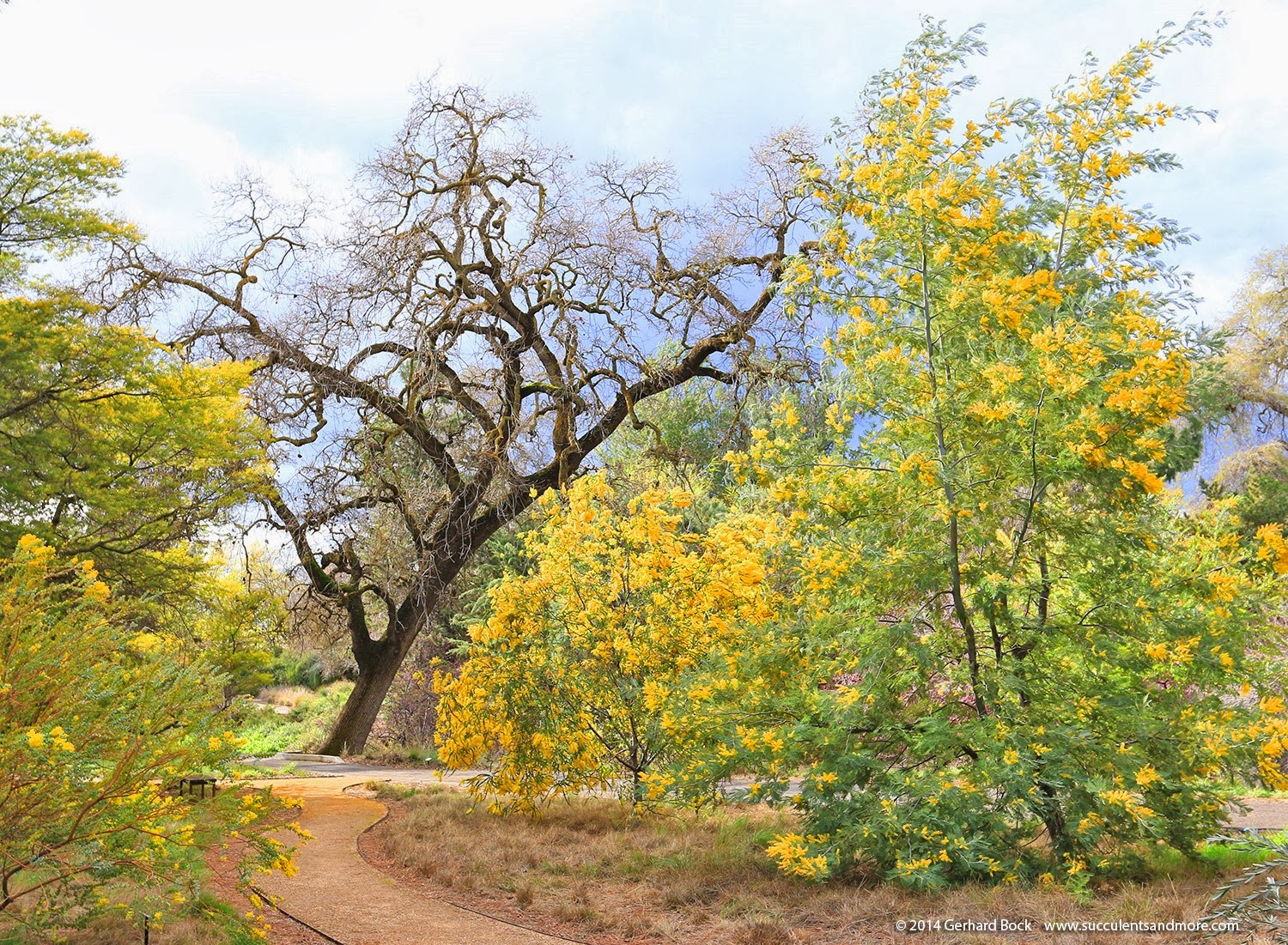 [140301_UCD_Arboretum_0093%255B6%255D.jpg]