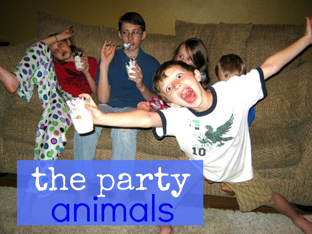 [we-bought-a-zoo-party.jpg]