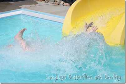 Fun in the Sun 6 Fun in the Sun 6