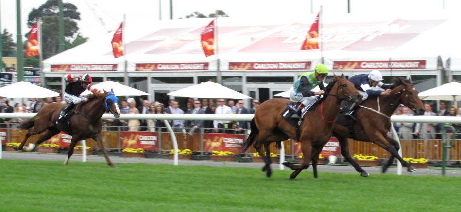 [Race4_downthestraight5.jpg]