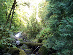 columbia_river_gorge