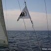 terre en vue, port cros