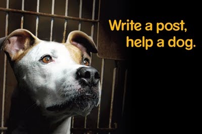[Pedigree_BlogPawsPostcard%2520FINAL%2520pg1%255B5%255D.jpg]