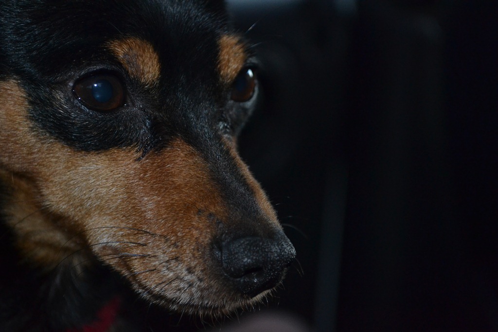 [DSC_0058%255B3%255D.jpg]