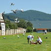 DSC_1875.JPG