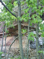 DSC00389.JPG