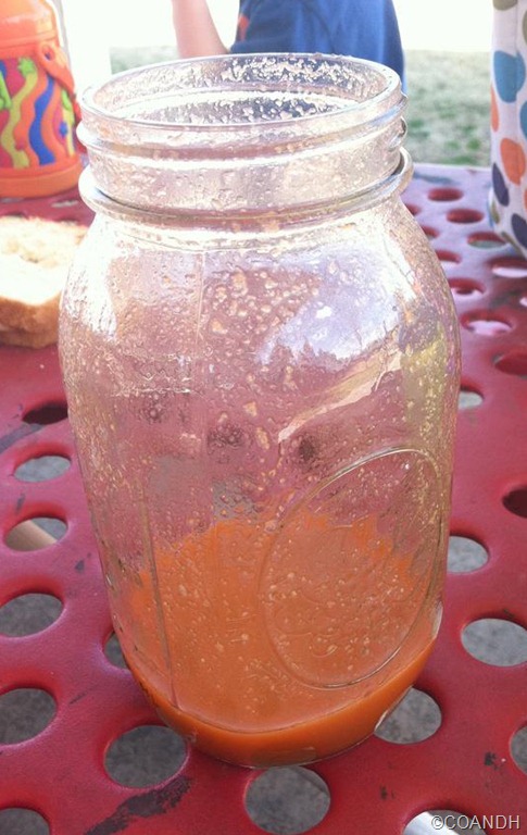 [Day-2-Juice9.jpg]