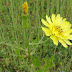 20100411_28