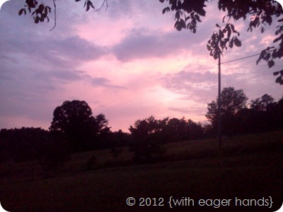 IMG_20110723_204950