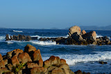 DSC_0525.JPG