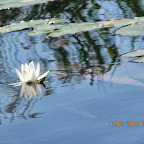 IMG_7603.JPG