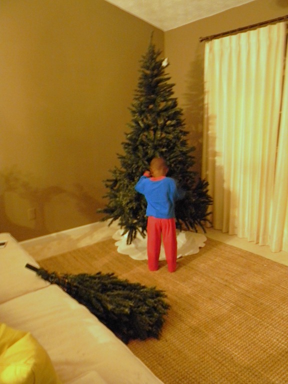 [table%2520and%2520christmas%2520tree1%255B5%255D.jpg]