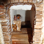 1522-6.JPG