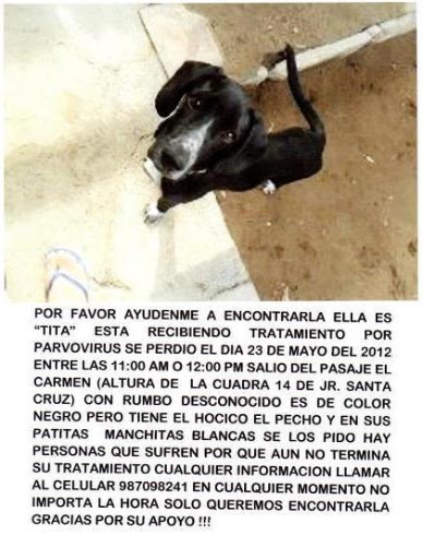 coker perdido.jpg