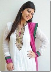 Telugu Actress Sarah Sharma Salwar Kameez Cute Photos
