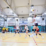 IMG_8909.jpg