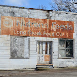 "Long Creek Feed" - copyright David Thompson